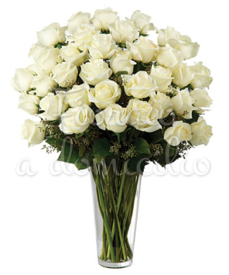 bouquet_36_rose_bianche