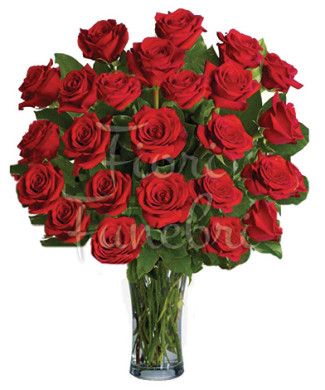 24-rose-rosse