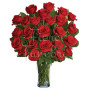 24-rose-rosse