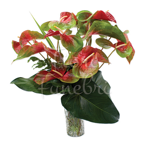 bouquet-di-anthurium