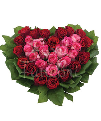 cuore-rose-rosse-rosa