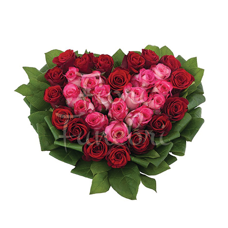 cuore-rose-rosse-rosa